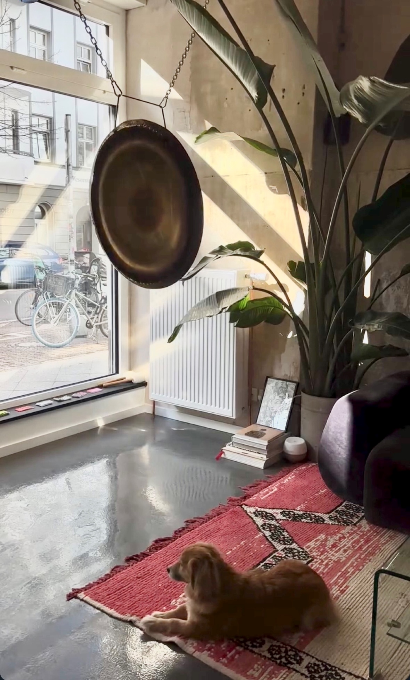 Vision Studio Berlin